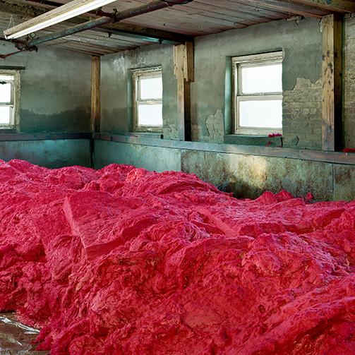 Abandoned textile mill with bright fuchsia yarn piled on the floor, weathered turquoise walls, wooden beams, and large windows