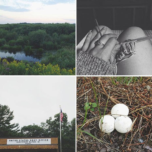 Four-panel collage: wooded lakeside, knitting detail in black and white, a small-town post office, and white mushrooms