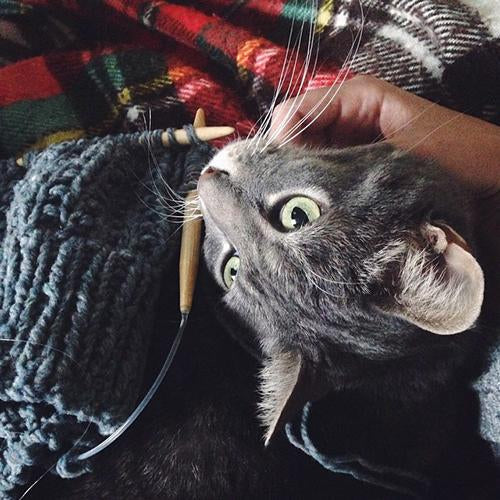 Gray tabby cat with wide green eyes watching circular knitting needles and chunky gray knit project on red plaid blanket