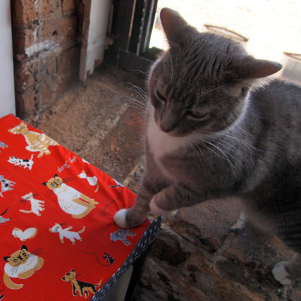 Gray and white tabby cat inspecting a red Tammis Keefe cat print fabric near a window