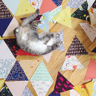 Laying out the Catnap Quilt