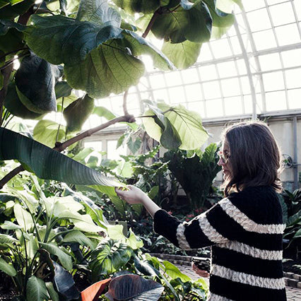 Person wearing black and white striped long-sleeve sweater reaching toward lush tropical plants in a sunlit glass conservatory